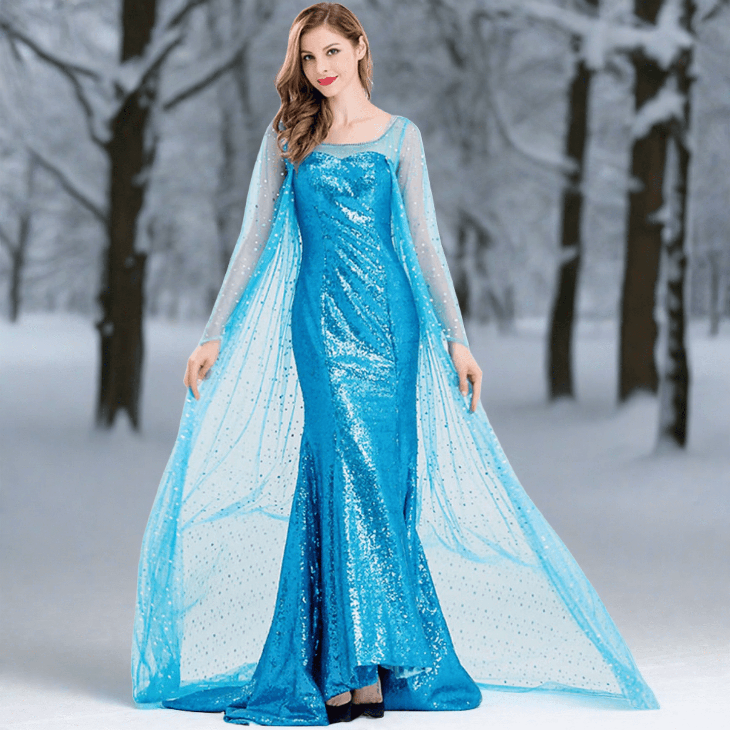 Princess Elsa Dress Sequin Mesh Long Elsa Costume Adult Snow Queen Costume