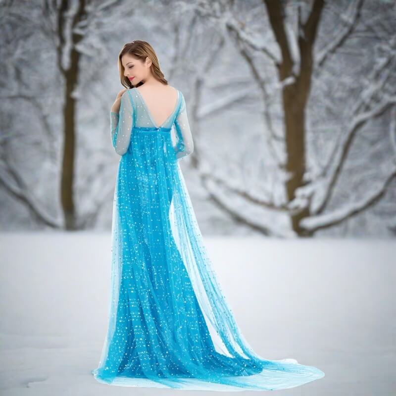 Princess Elsa Dress Sequin Mesh Long Elsa Costume Adult Snow Queen Costume